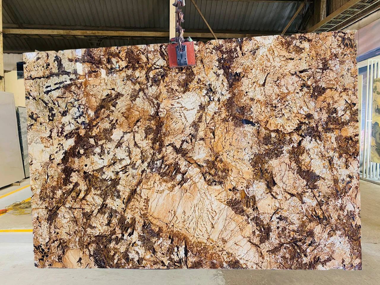 Vàng Bạch Dương