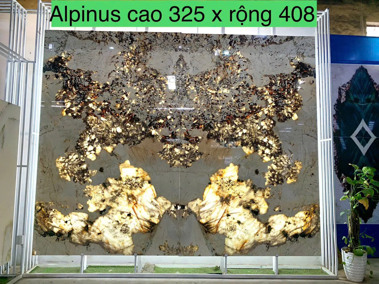 tranh đá apinus 01